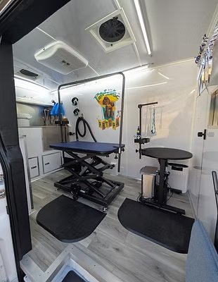 Inside the real Pawtastic mobile grooming salon — the actual grooming table and equipment
